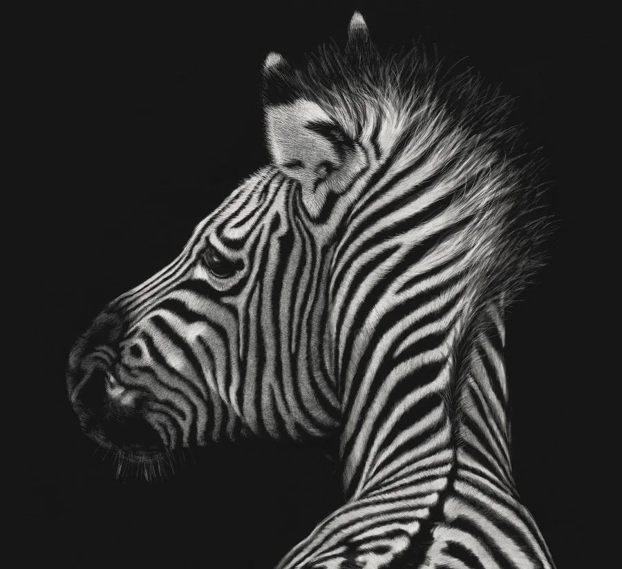 zebra_dress_closeup.jpeg