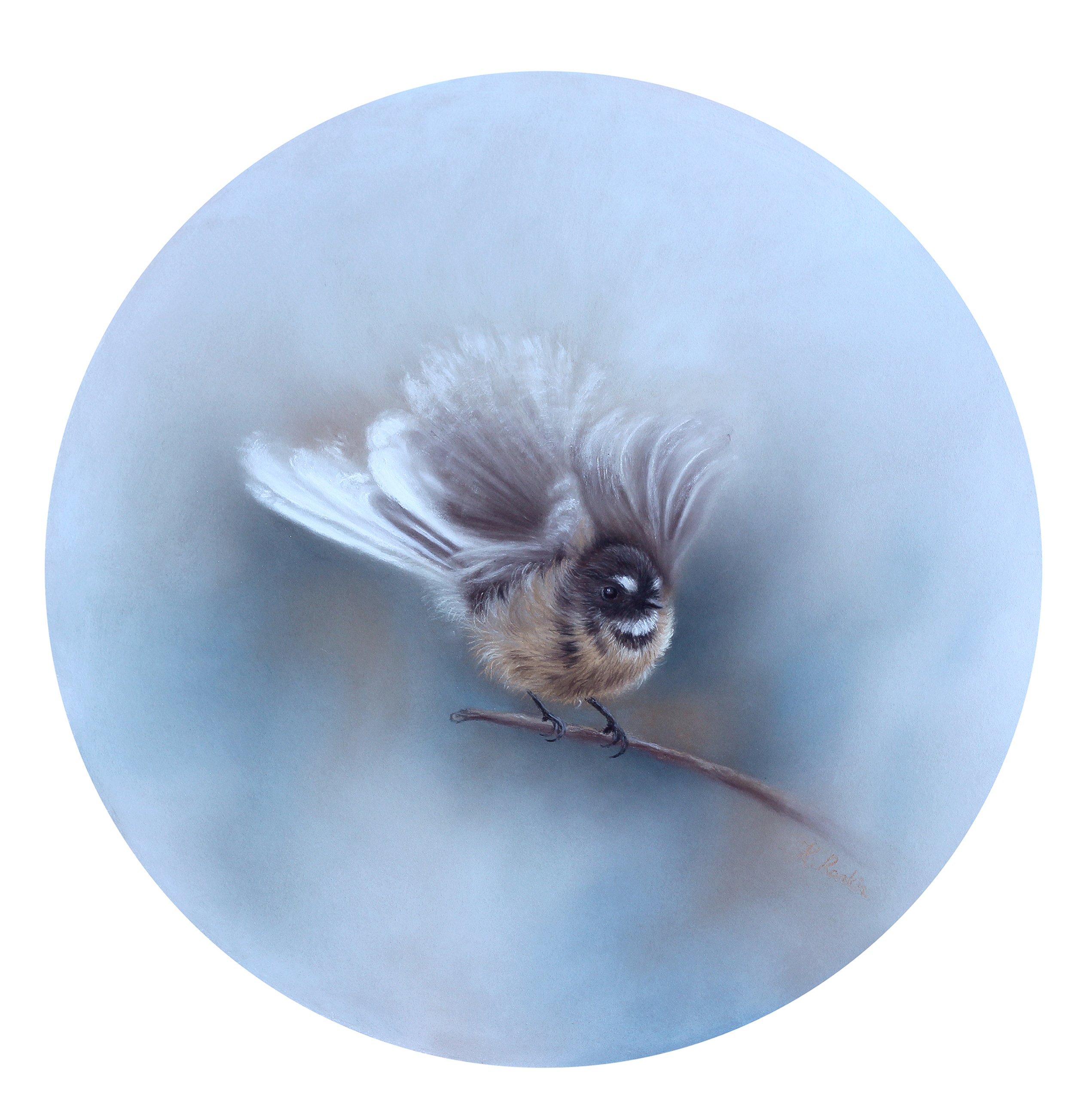 Fly Baby Fly (New Zealand Fantail)
