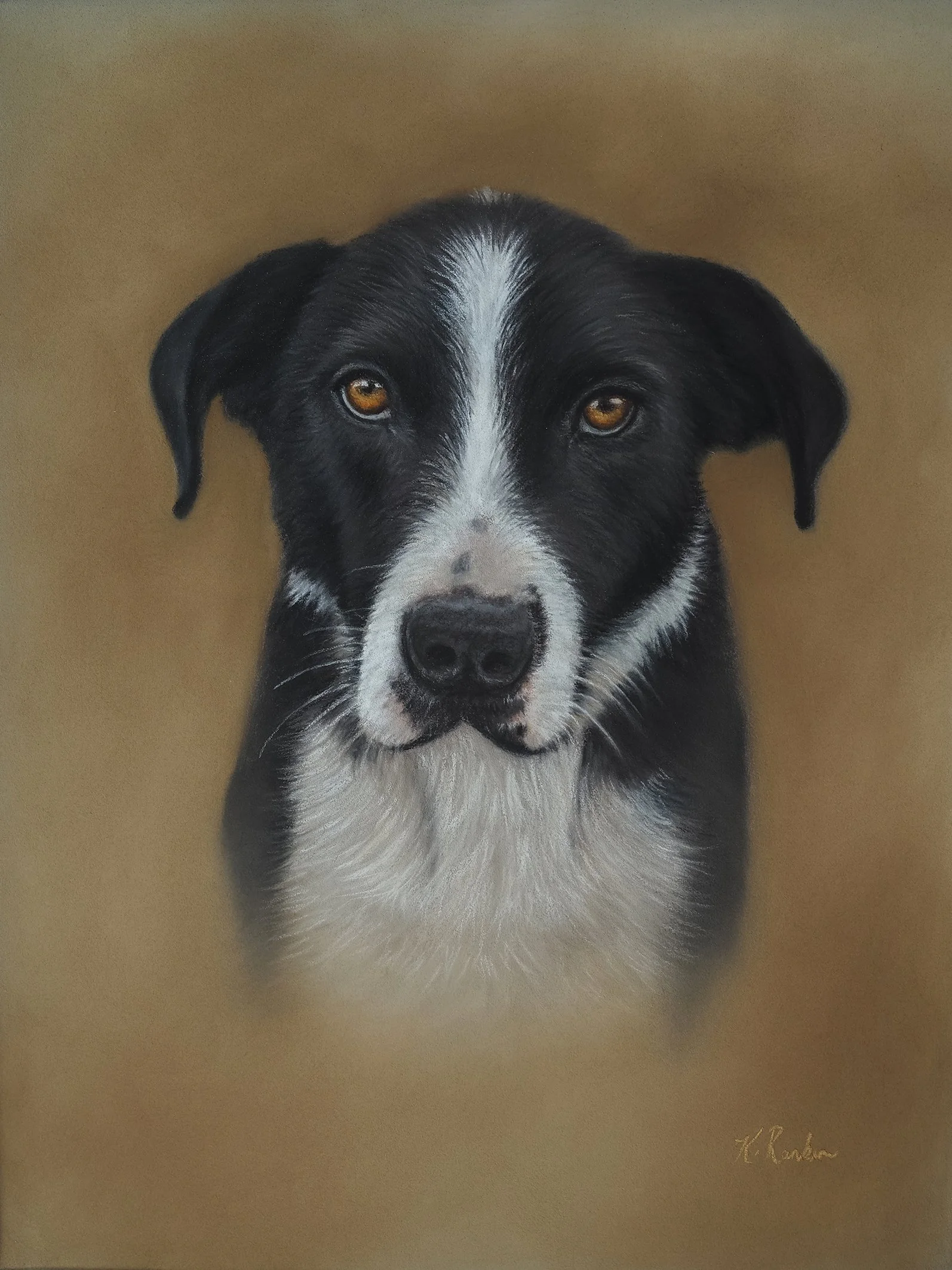 
A portrait of “Snow”, the Huntaway, commissioned as a treasured memorial after he sadly passed away in Southland, NZ. There were also tears upon receiving the portrait, as Snow was a special first heading dog and cherished pet. The painting was besp