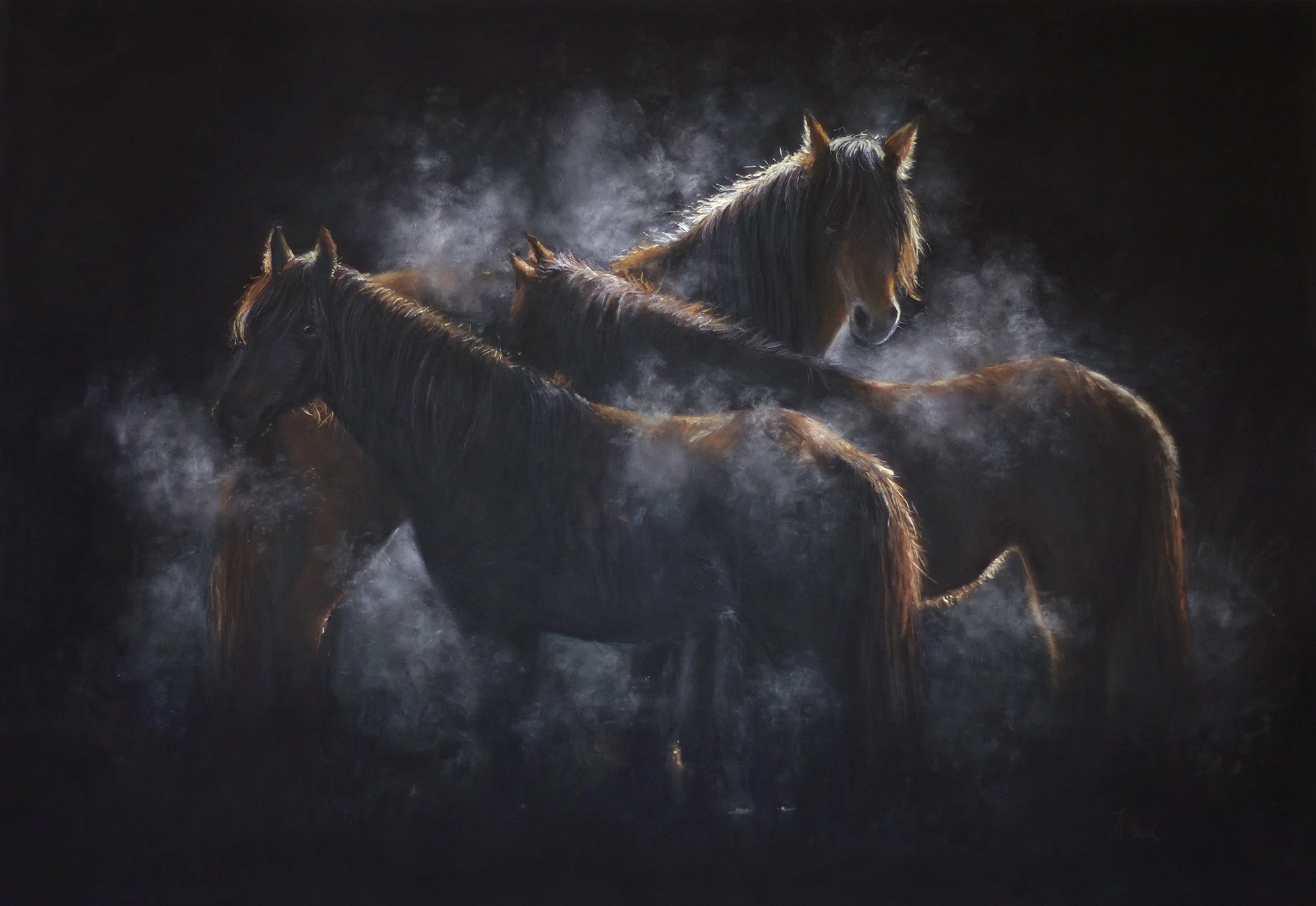 kaimanawa_horses.jpg
