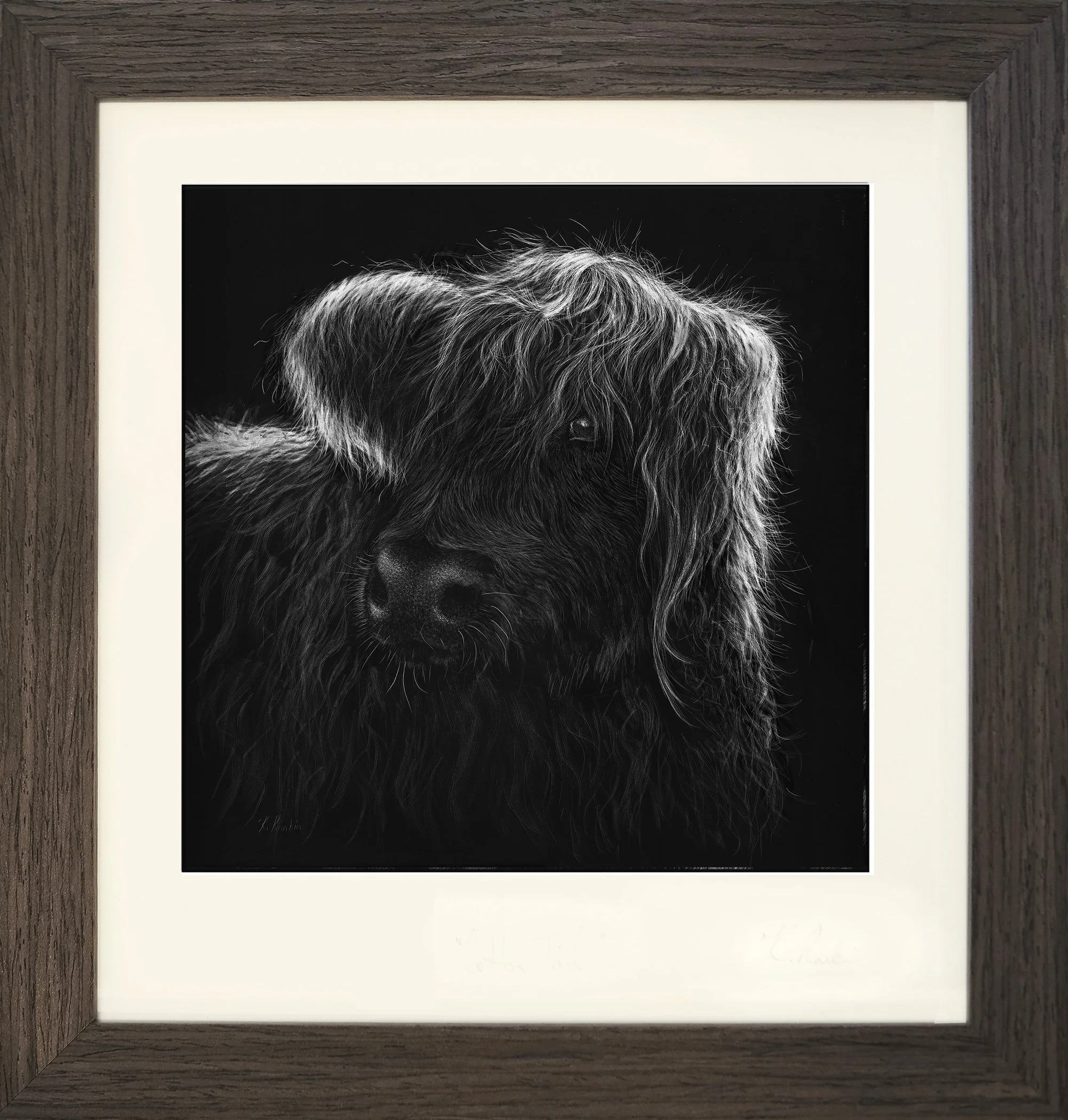 mandys coo-framed.jpg