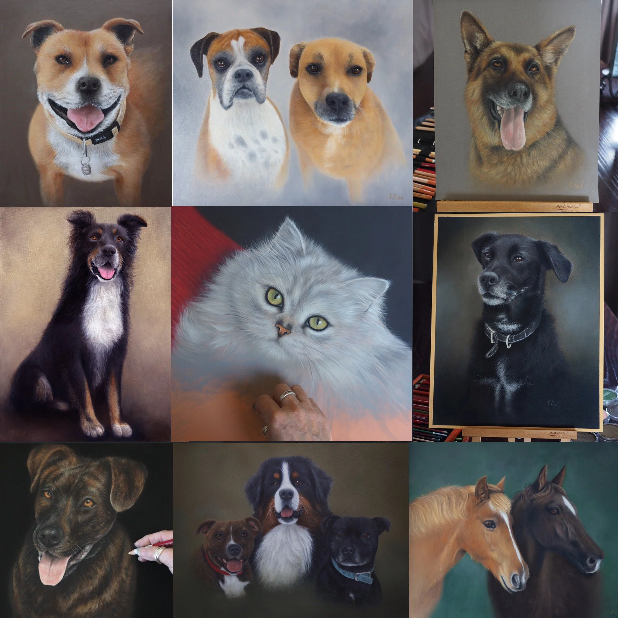 pet portraits montage.jpg
