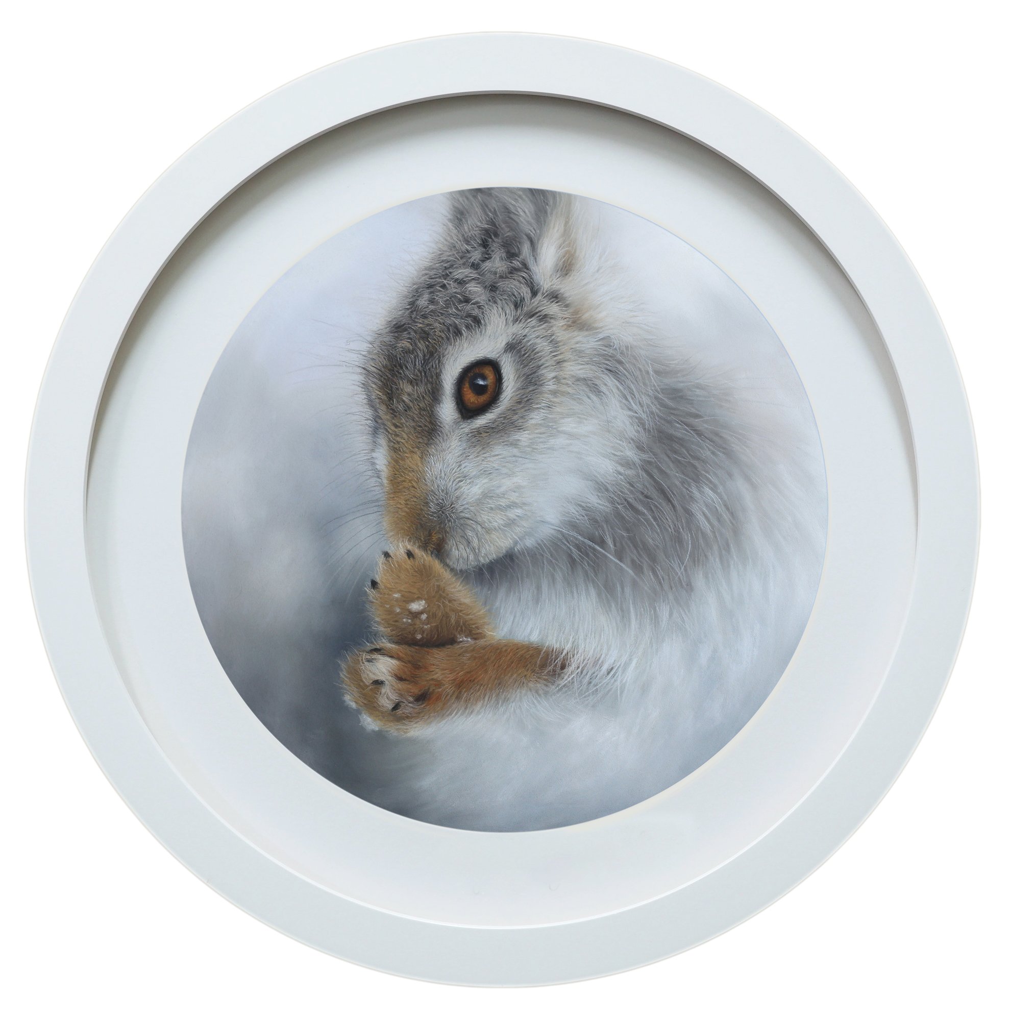 snowy-mountain-hare-framed.jpg