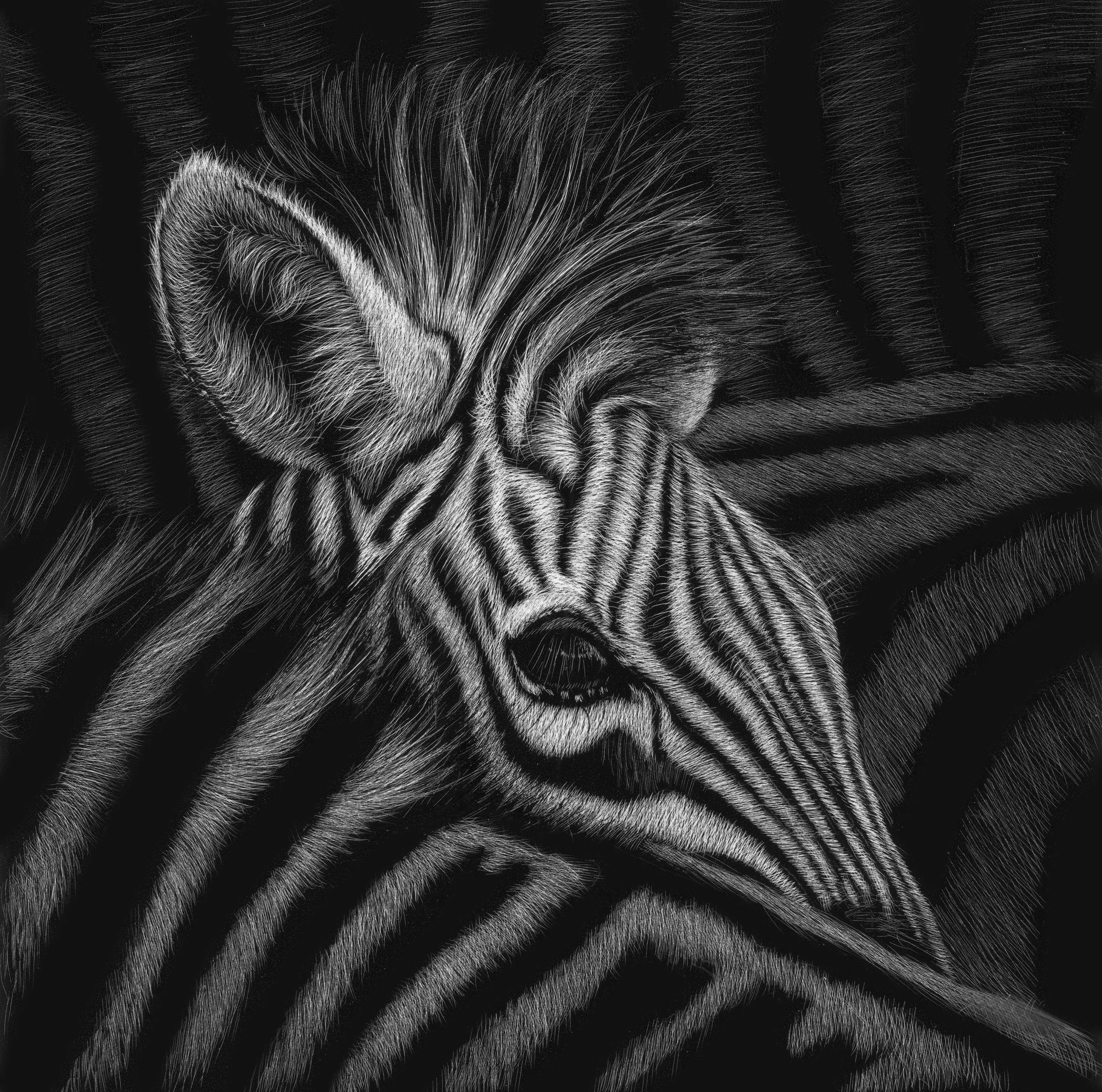 stripey in the middle.jpg