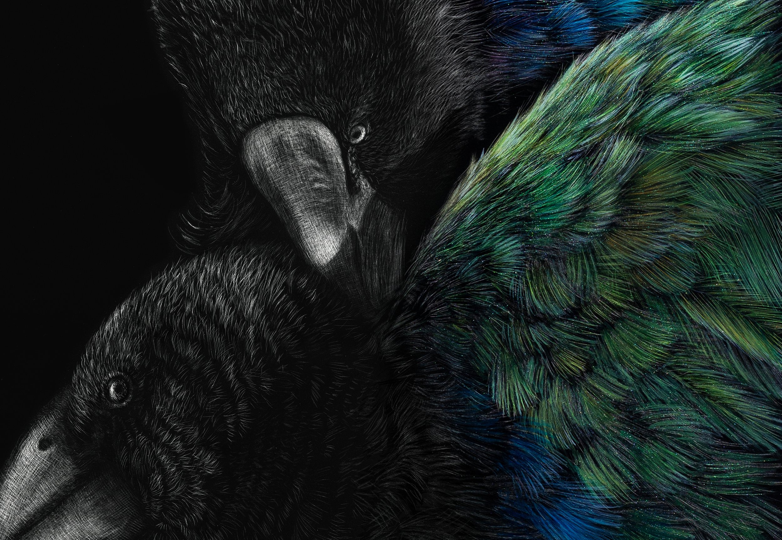 Te Awhiorangi and Orbell_closeup.jpeg