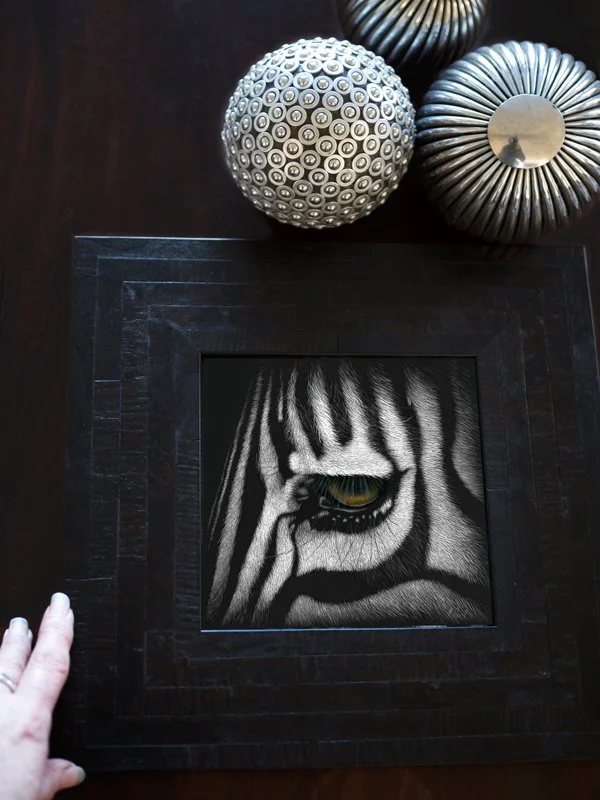Zebra_eye2_framed.jpg