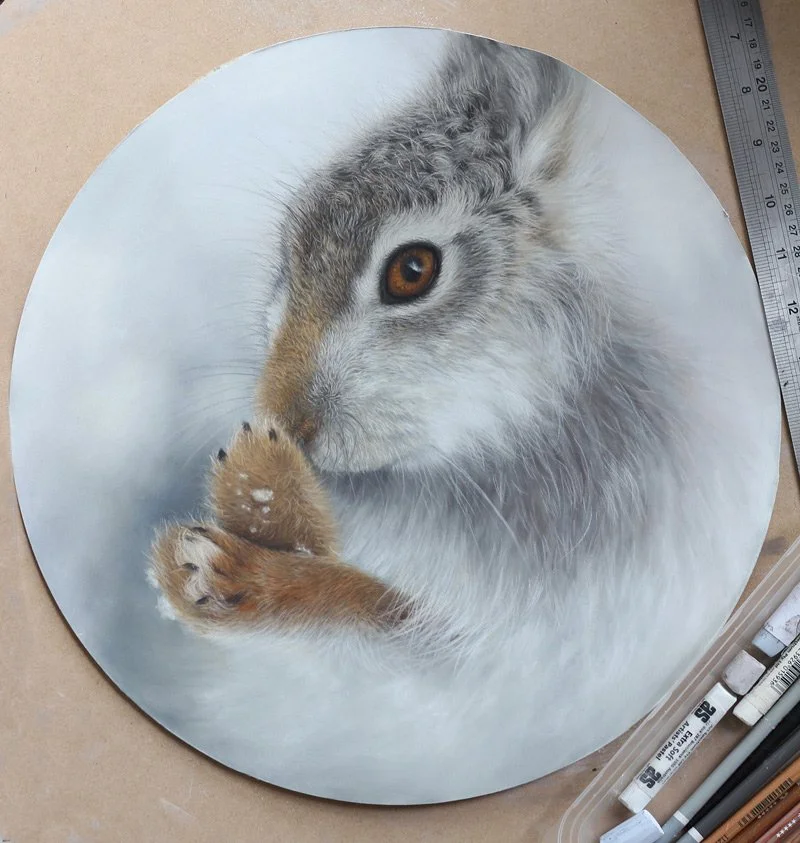 Hare_with-pastels.jpg
