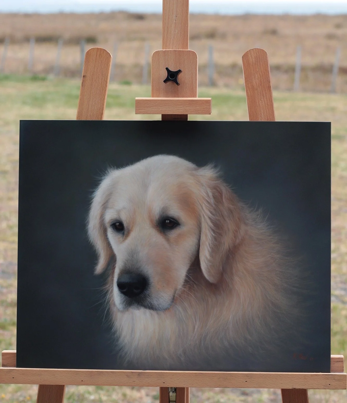 Charley - oil portrait.jpg