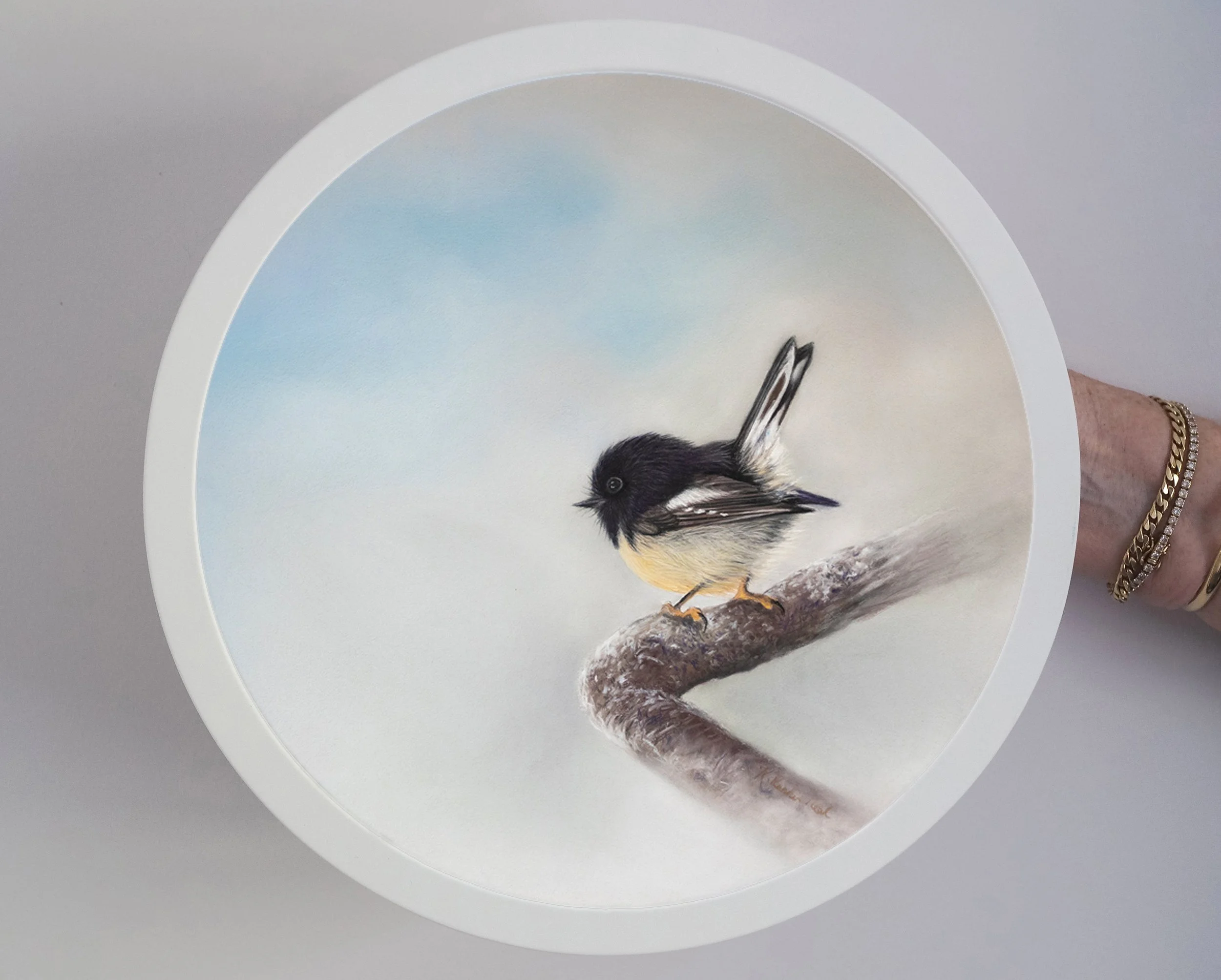 tomtit-300mmframed.jpg