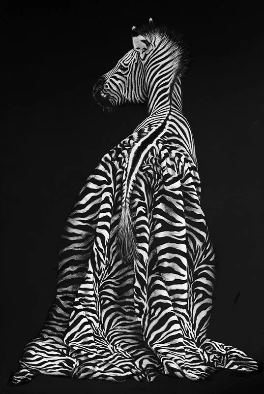surreal_zebra_scratchboard.jpg