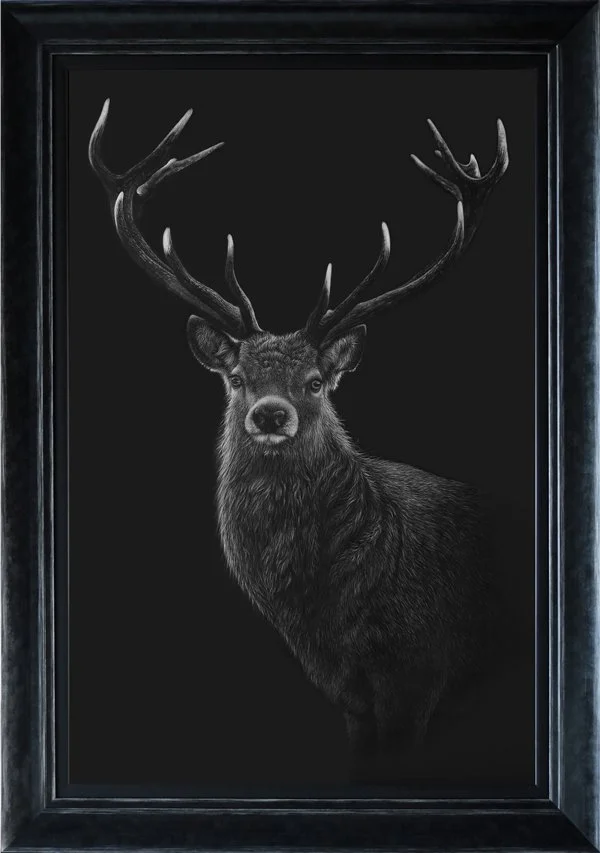 stag_framed.jpg