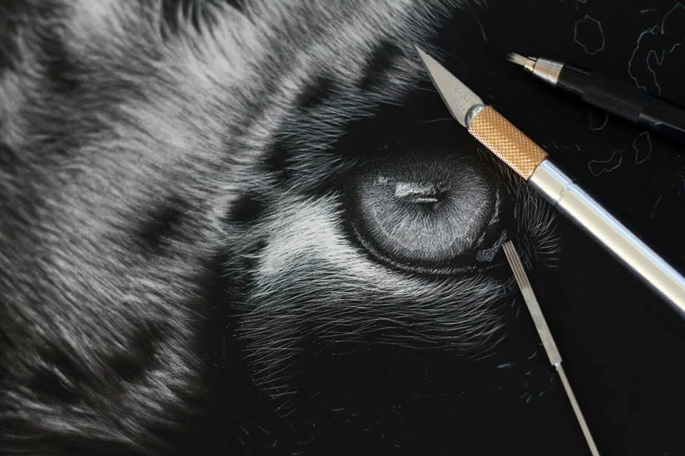 snow_leopard_scratchboard.jpg