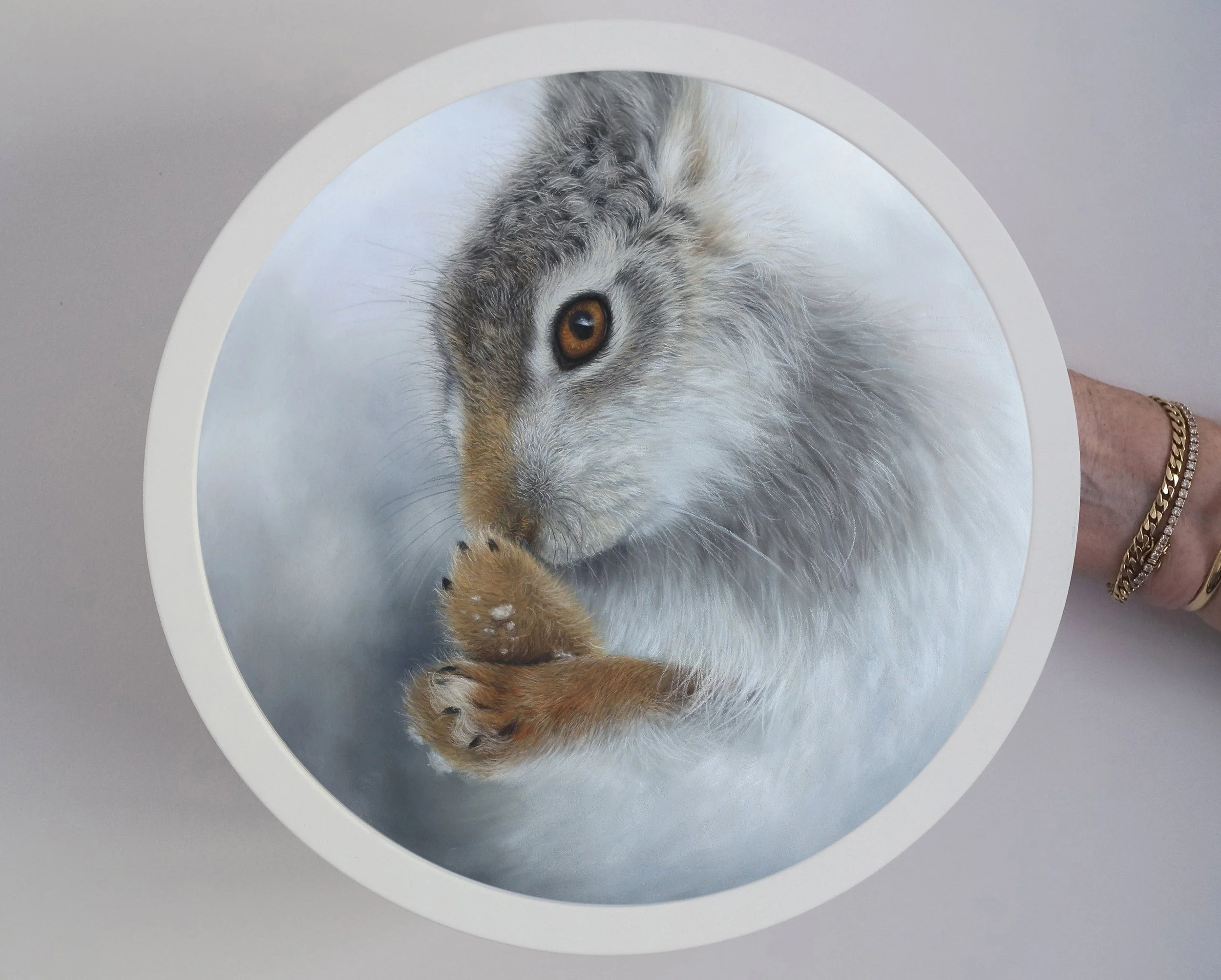 Snowy-Mountain-Hare-300mmframed.jpg