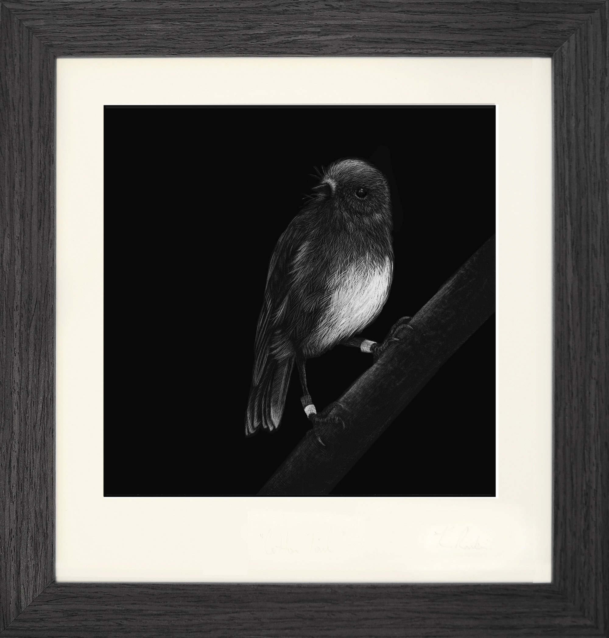 toutouwai_framed grey.jpg