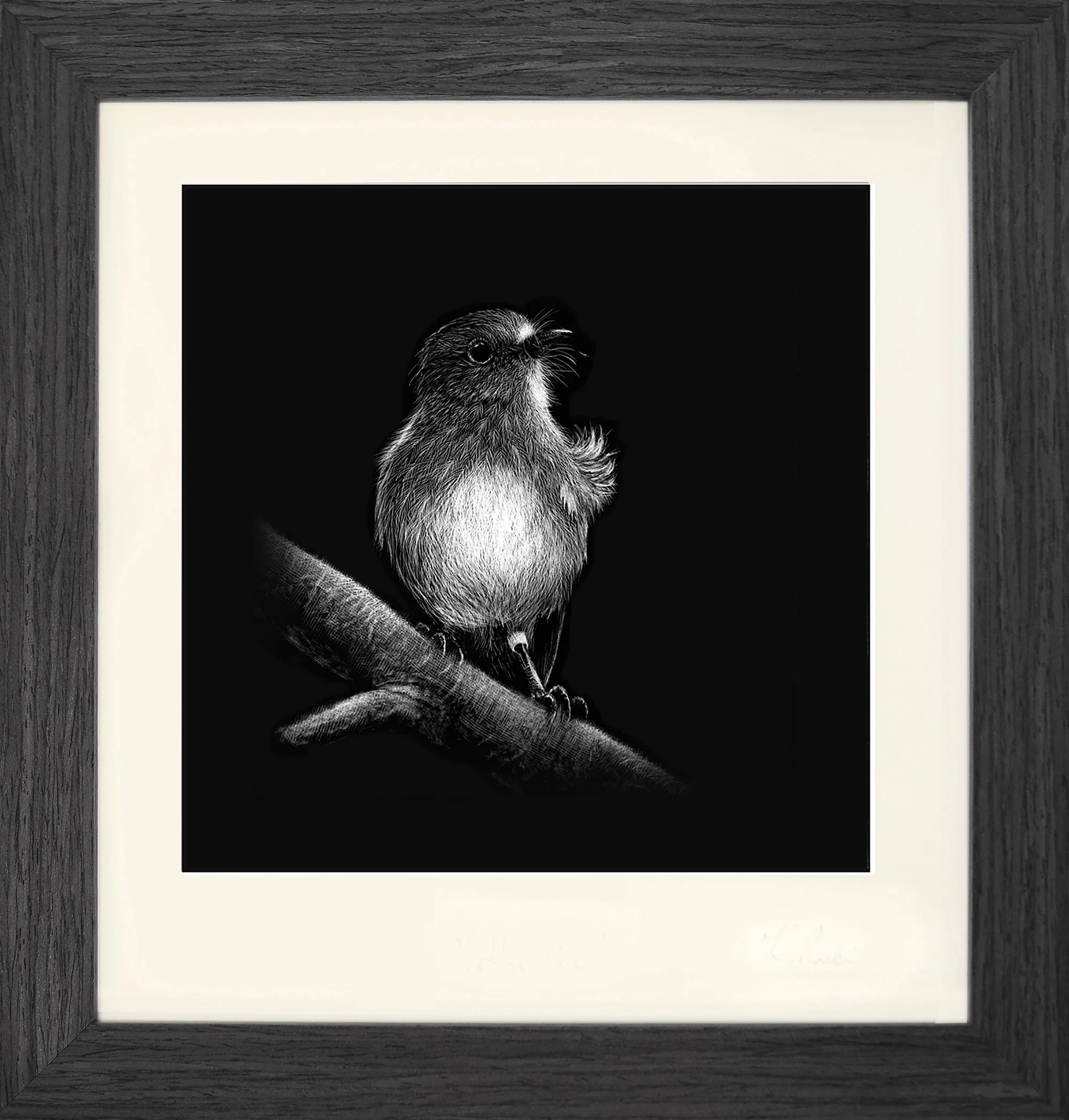 robin 1_framed grey.jpg