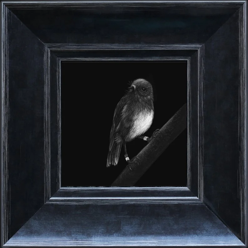 toutouwai - wide frame.jpg