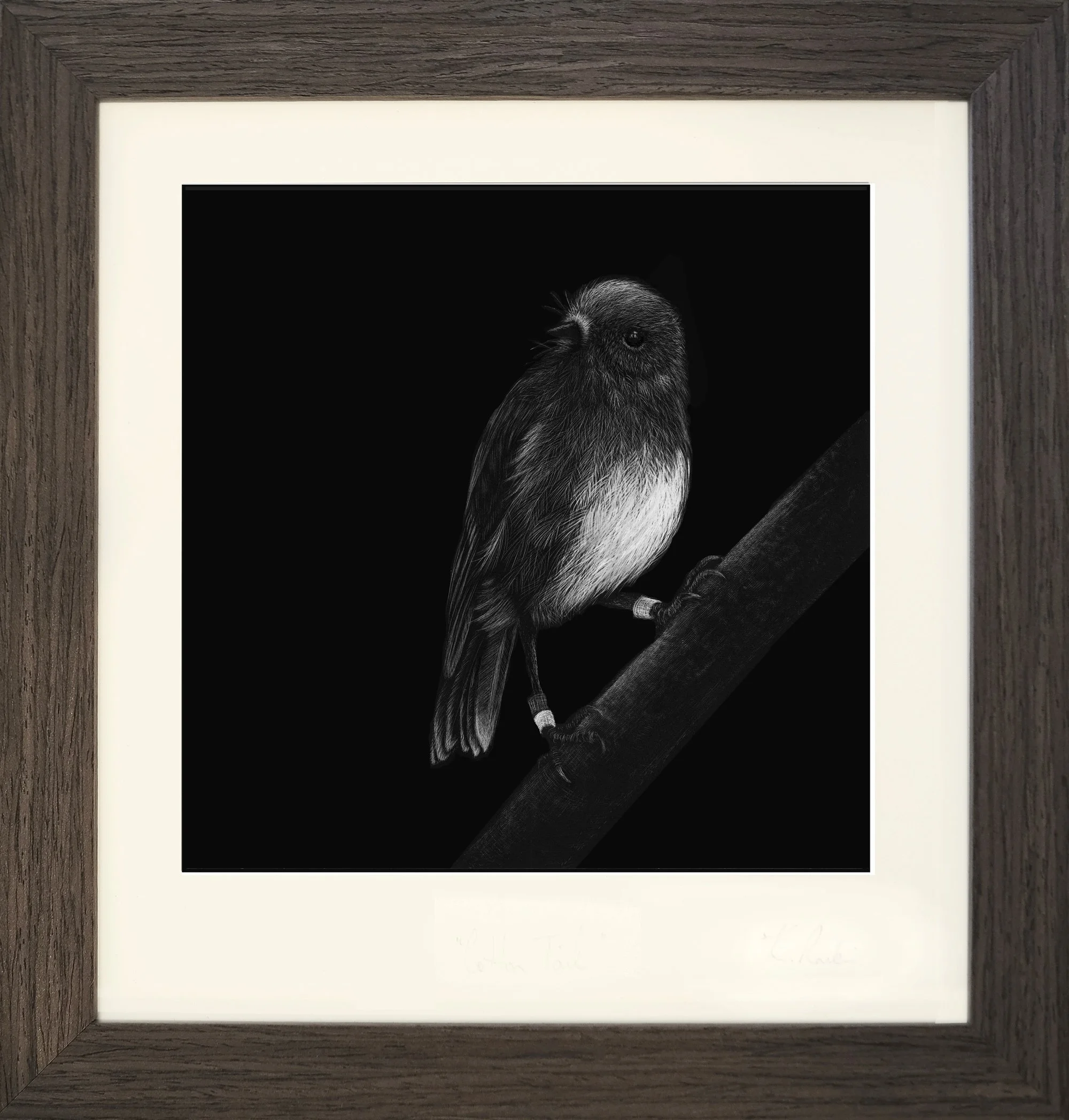 toutouwai_framed.jpg
