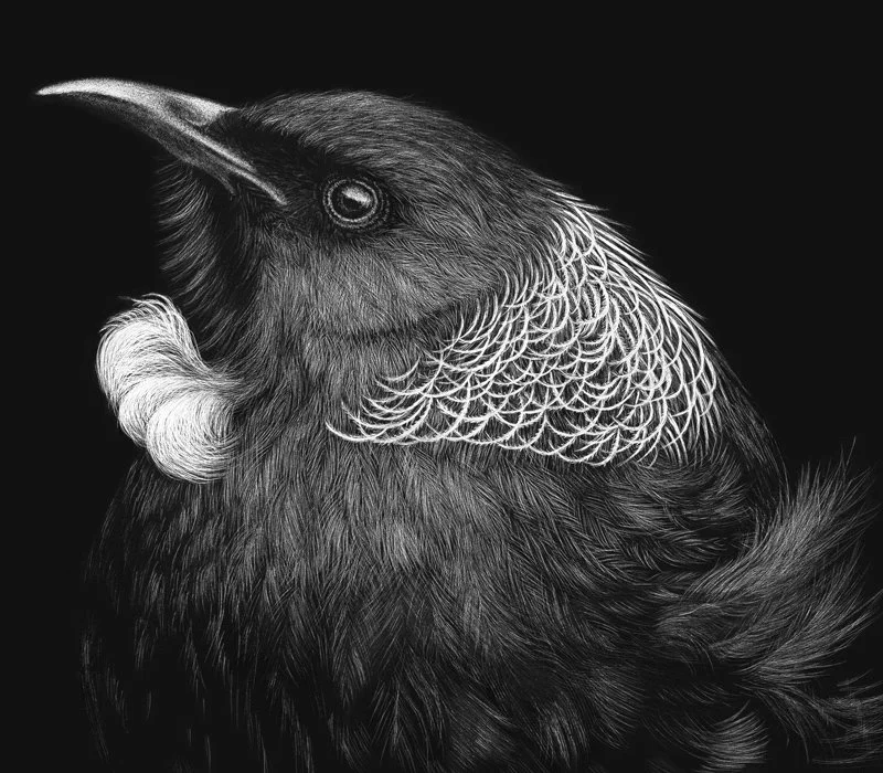 where-art-thou-tui--closeup.jpg