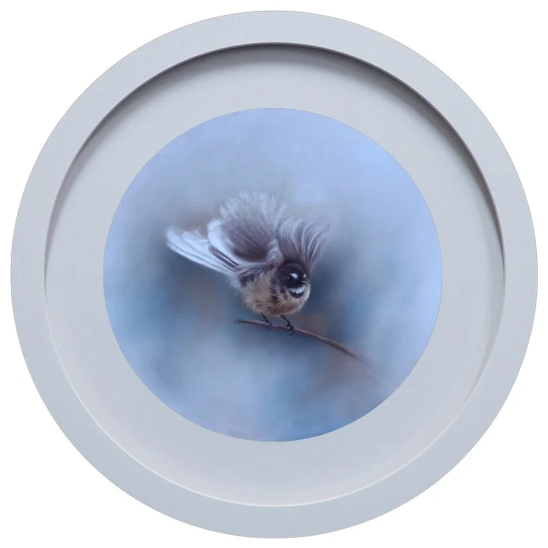 new-zealand-fantail-framed.jpg