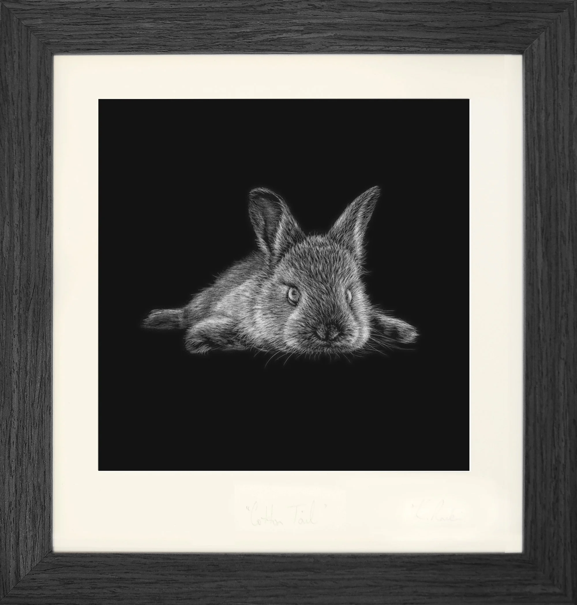 Cotton Toes print - framed grey.jpg