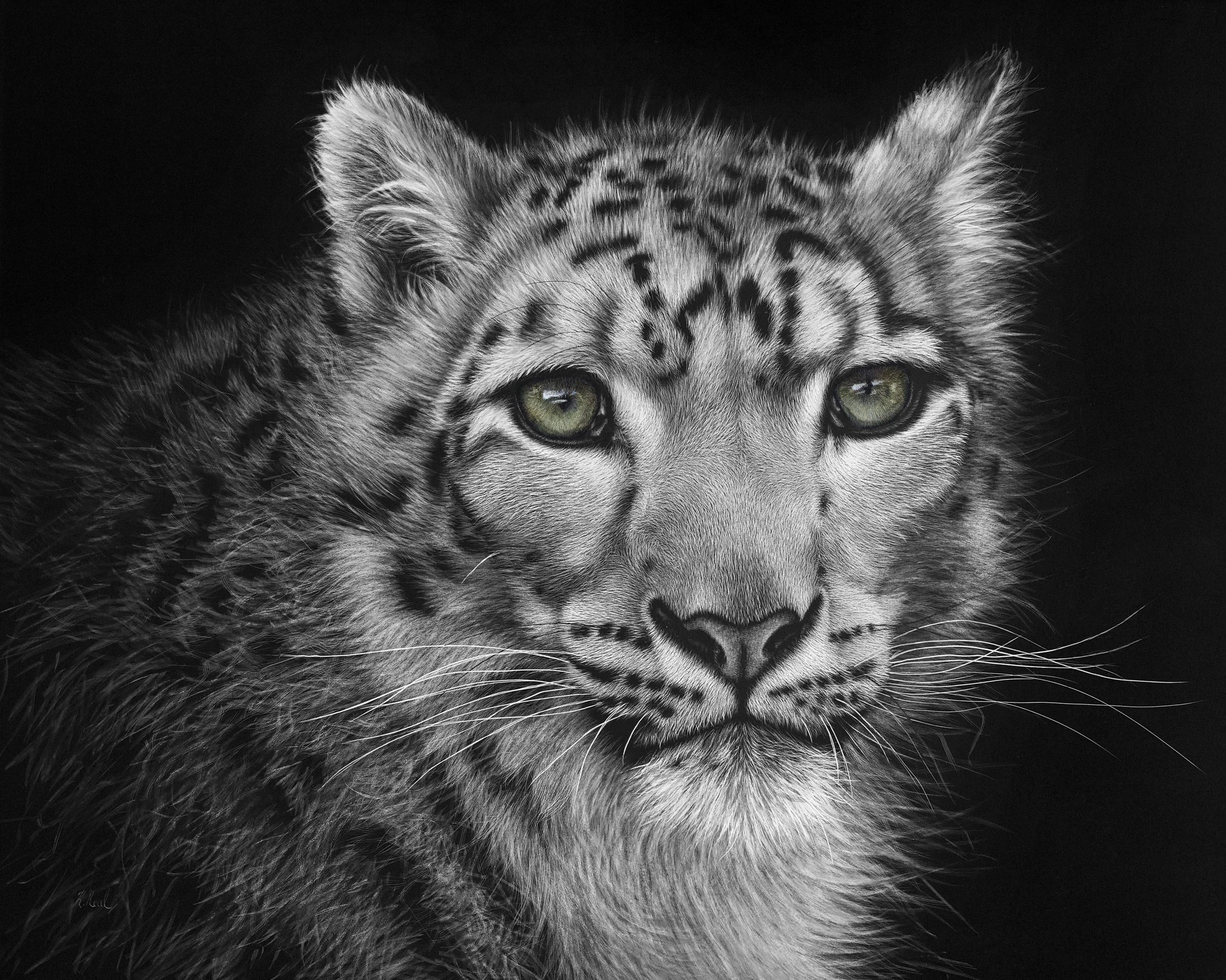 snow_leopard_snowqueen.jpg