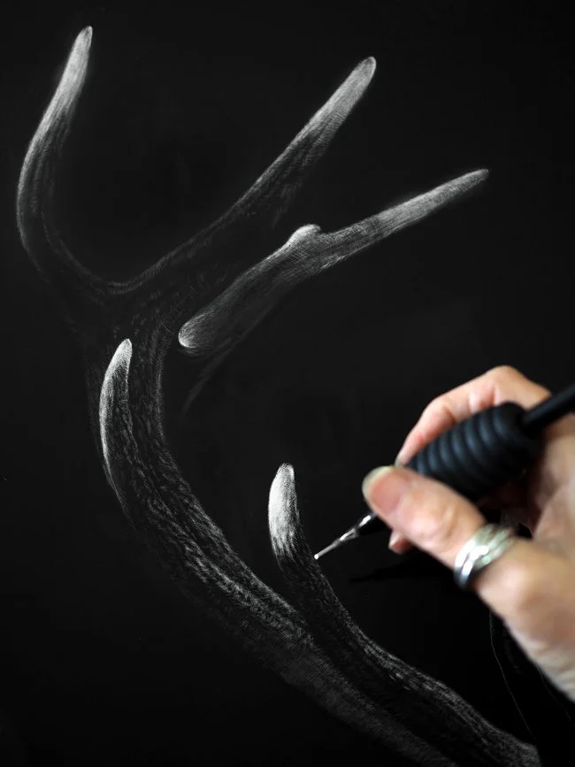 Stag_wip.jpg
