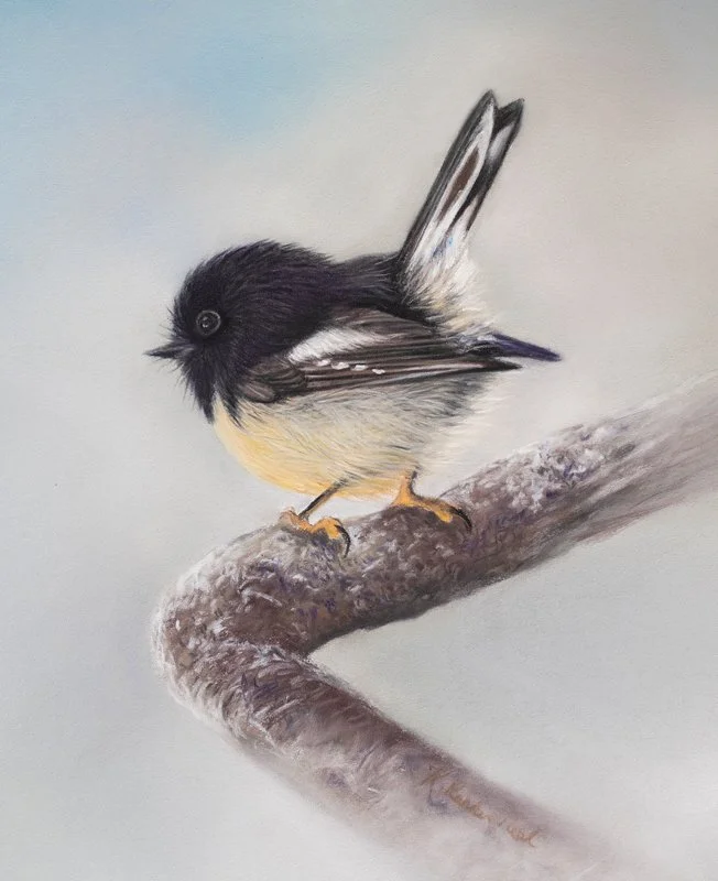 tomtit-pastel-closeup.jpg