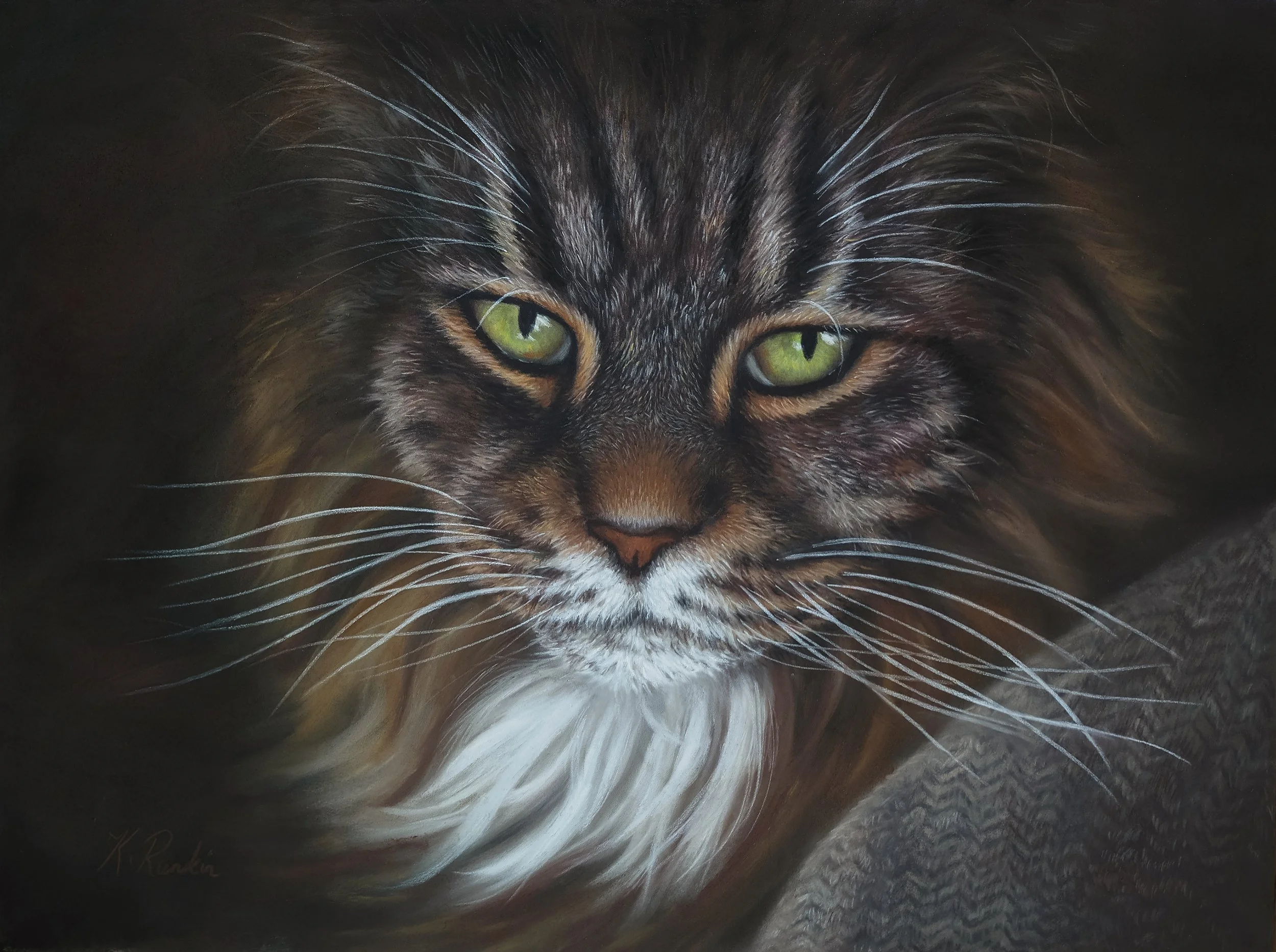 "Porsche", the artists own cat, a Maine Coon. She was a beauty, nearly 9kg in weight and such a gentle loving nature. Pastel seemed the perfect medium with its soft blendability with this reference photo.