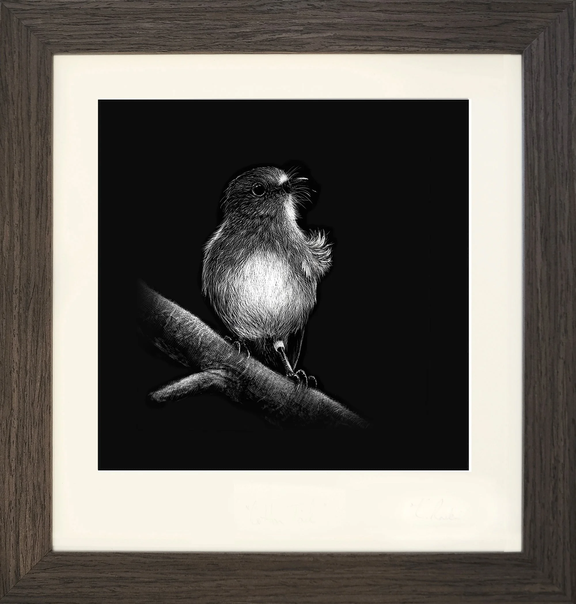 robin 1_brown framed.jpg