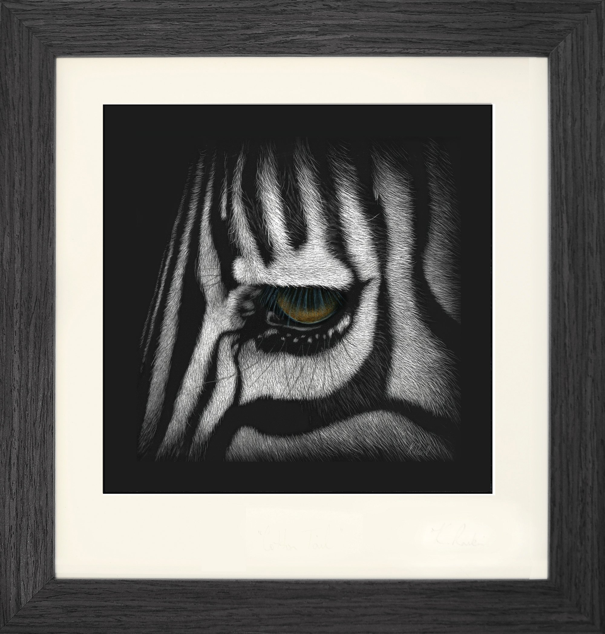 zebra_framed grey.jpg