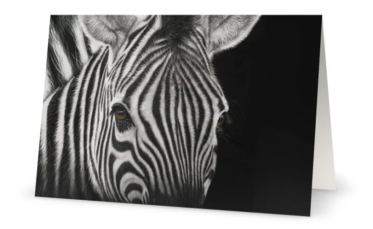 zebra scratchboard face.jpeg