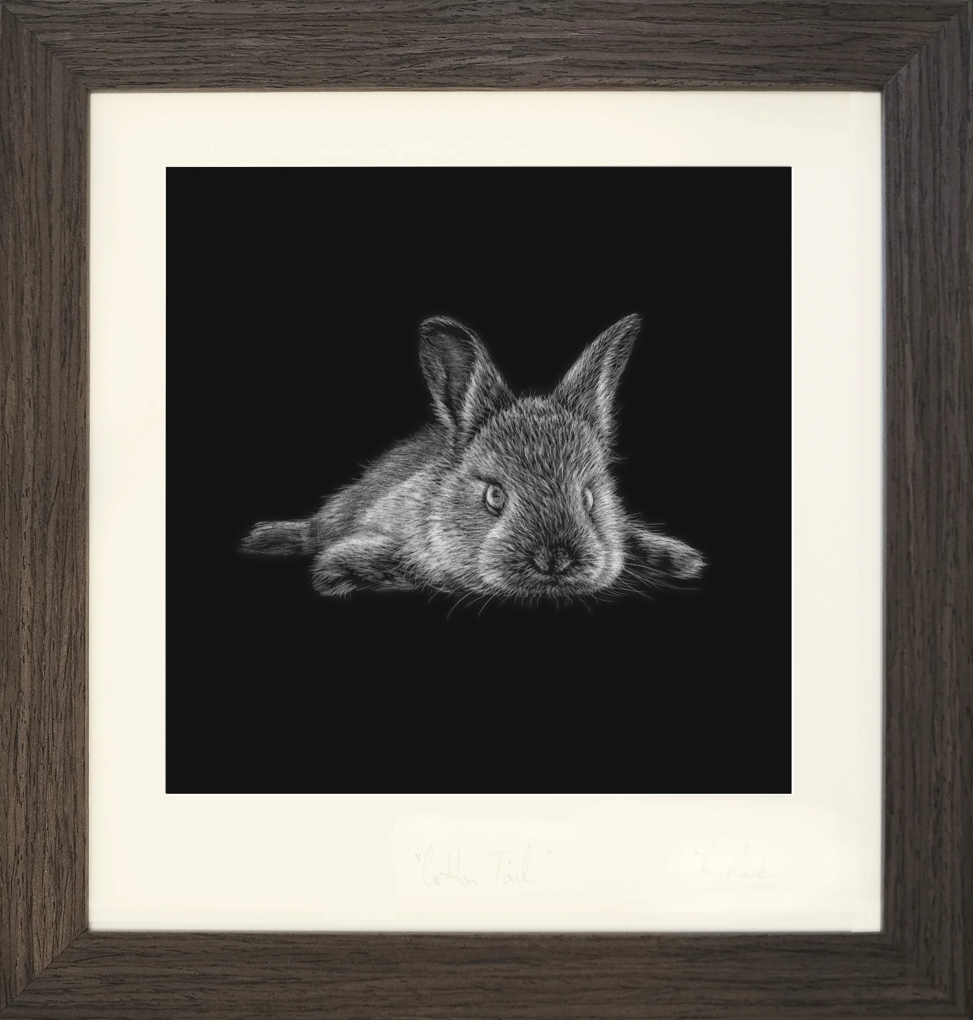 Cotton Toes print - framed.jpg