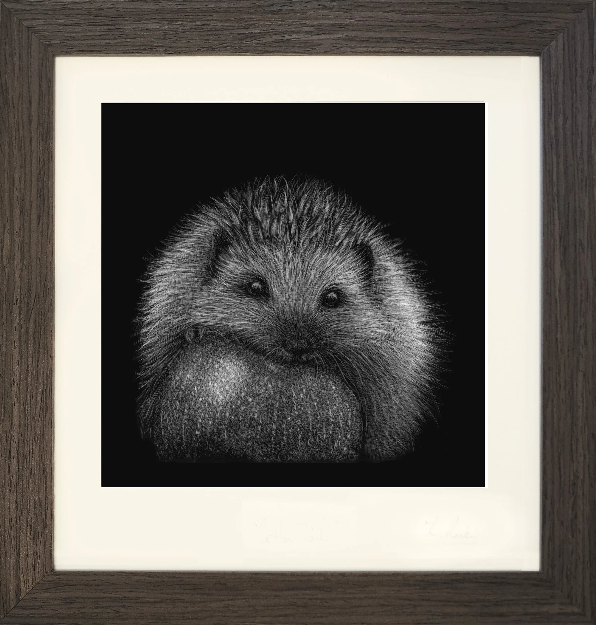 Apple Thief_Hedgehog_framed.jpg