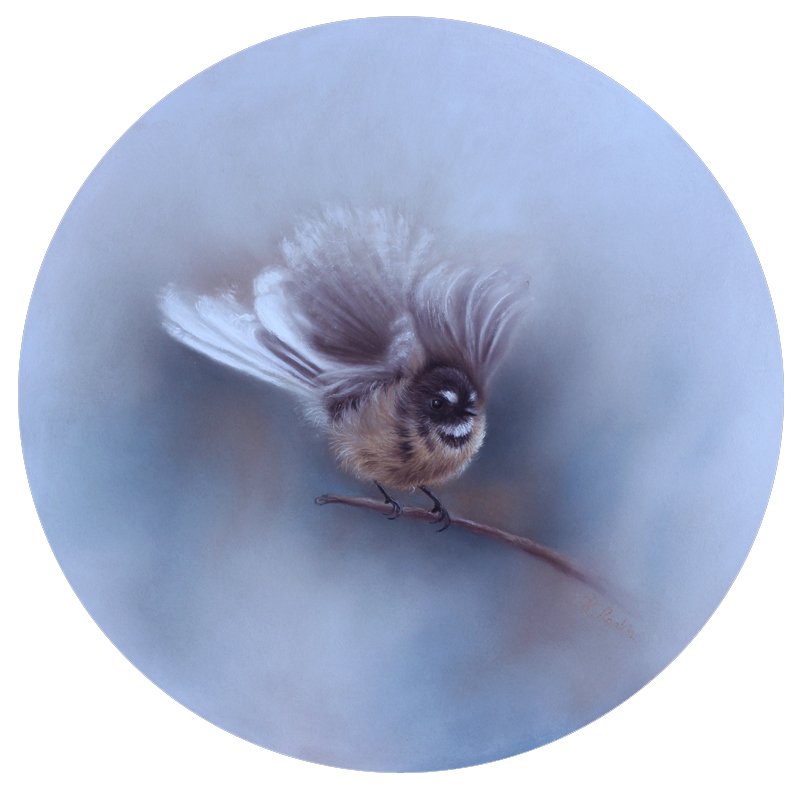 new-zealand-fantail-pastel.jpg