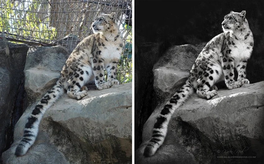 snowy_mountain_queen_reference.jpg