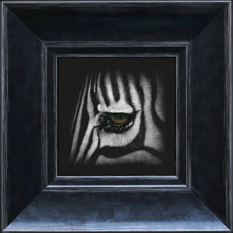 zebra - wide frame.jpg
