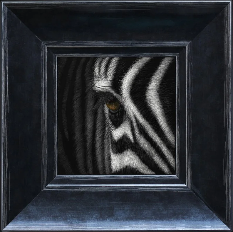 zebra herestoo - wide frame.jpg