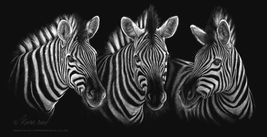 Zebra_scratchboard.jpg