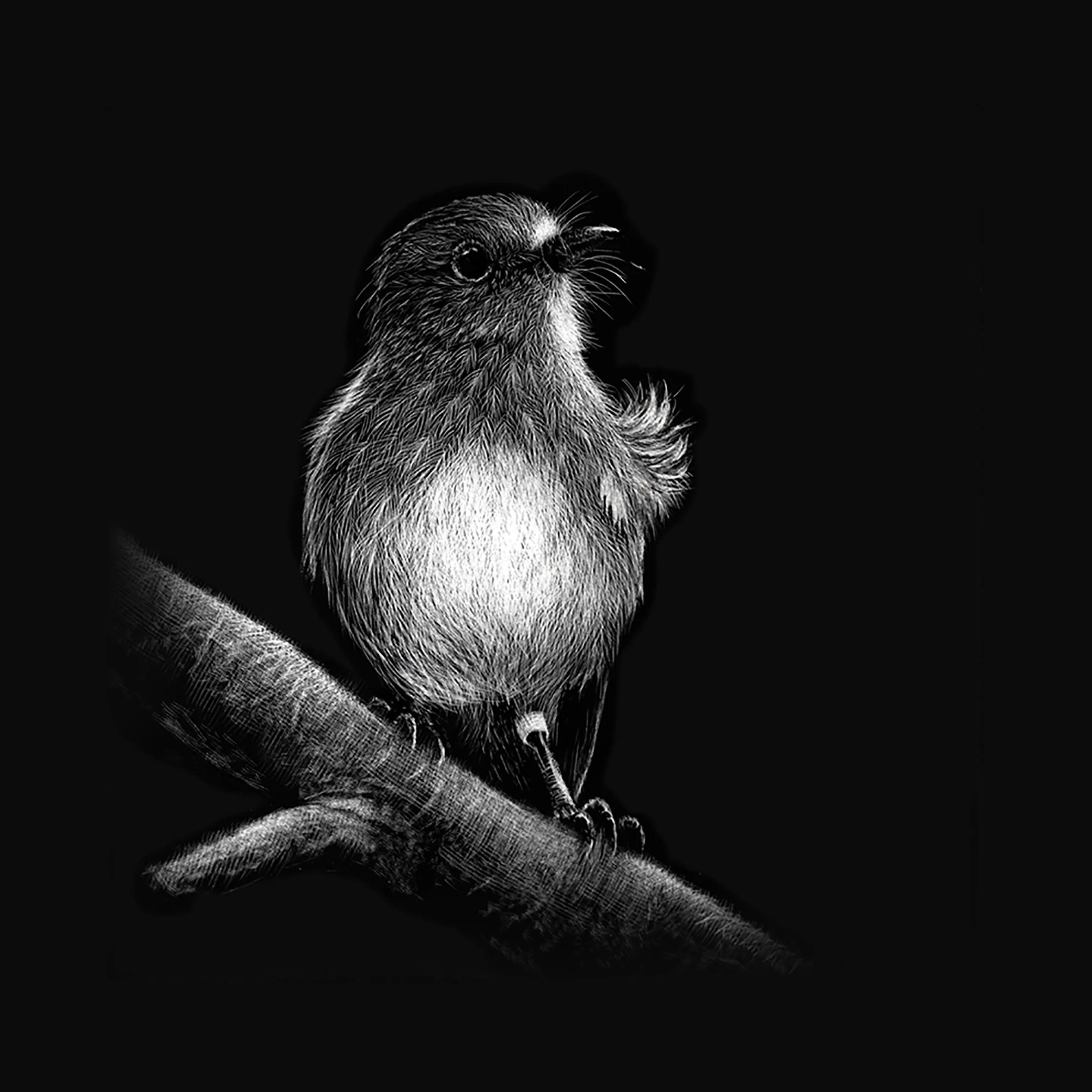 robin-study-1.jpg