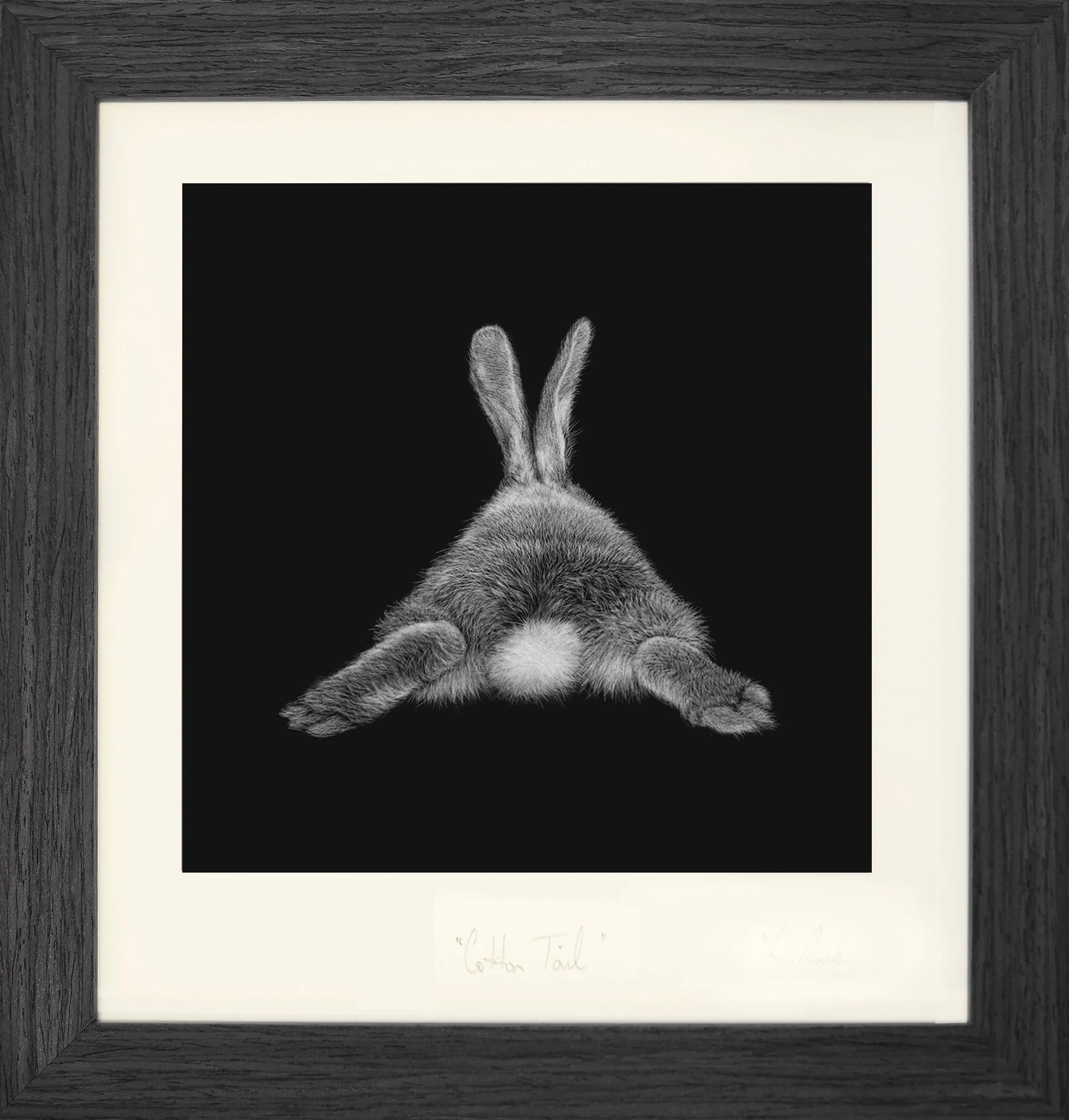 Cotton Tail print - framed grey.jpg