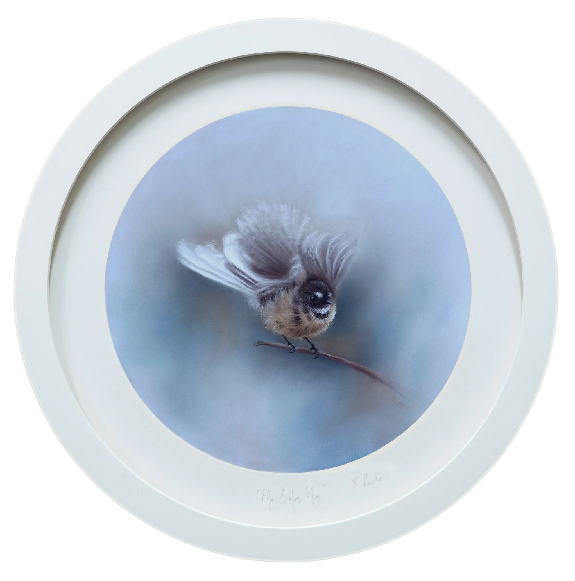 FANTAIL TONDO framed.jpg