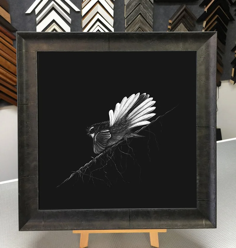 fantail-scratchboard-framed.jpg