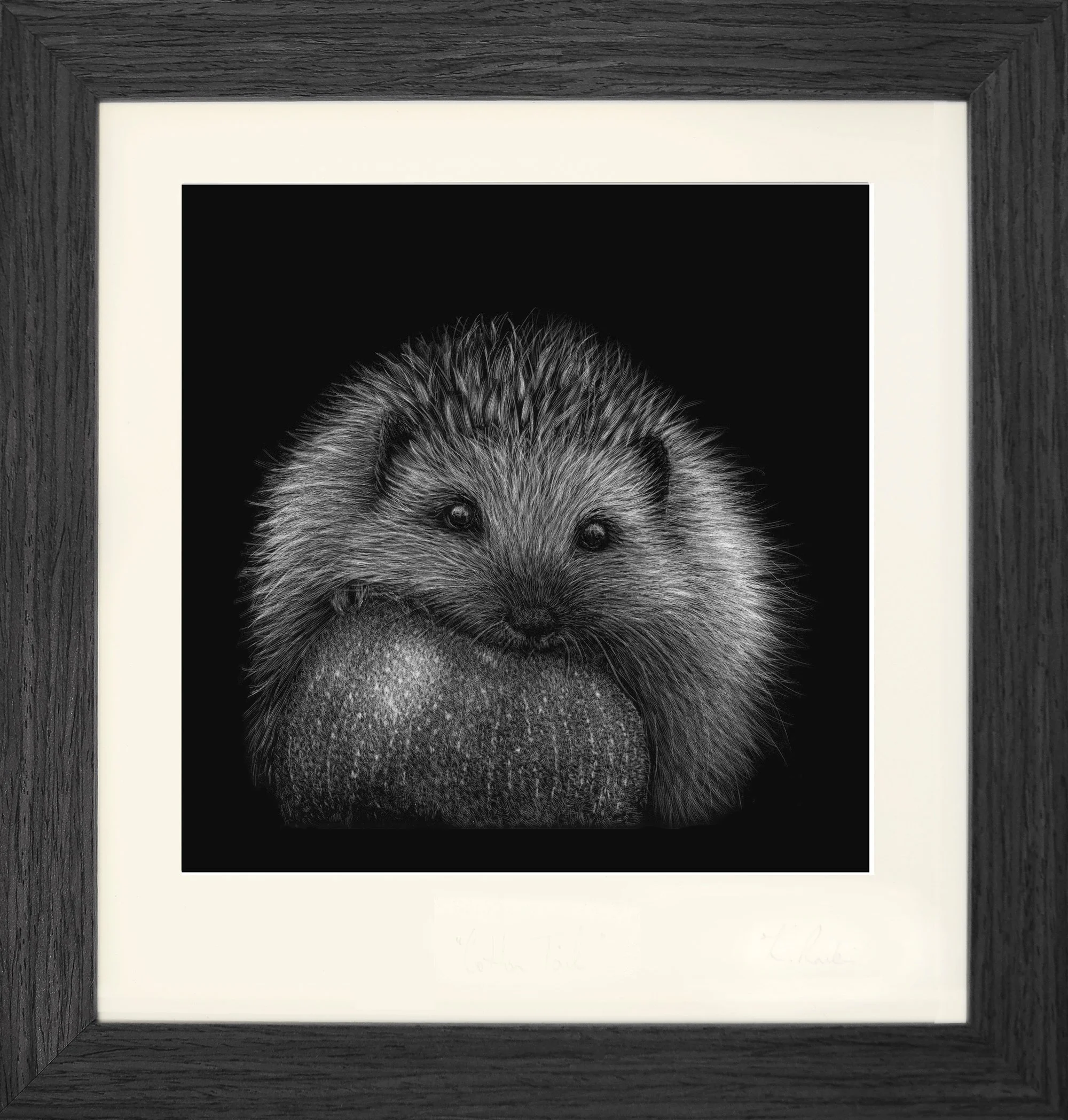 Apple Thief_Hedgehog_framed grey.jpg