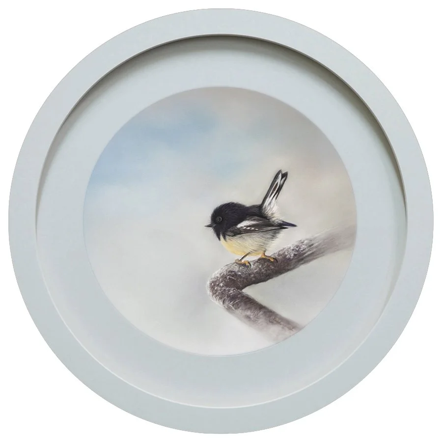 tomtit_framed.jpg