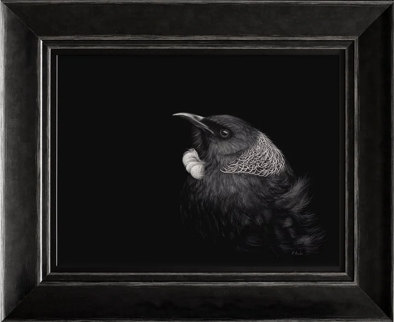 tui-scratchboard-framed.jpg