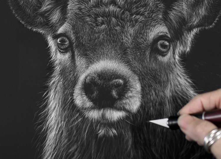 stag_wip02_closer.jpg