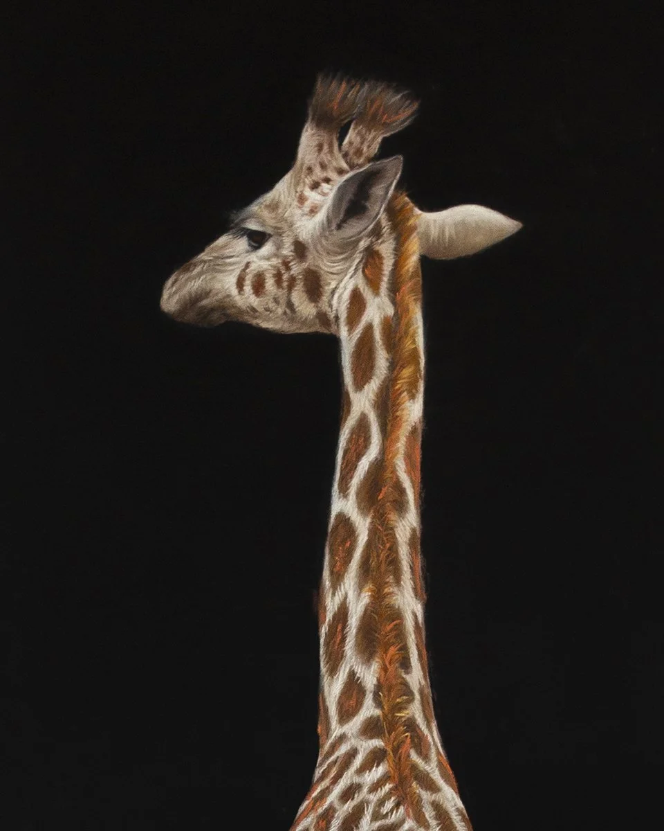 giraffe in dress-closeup.jpg