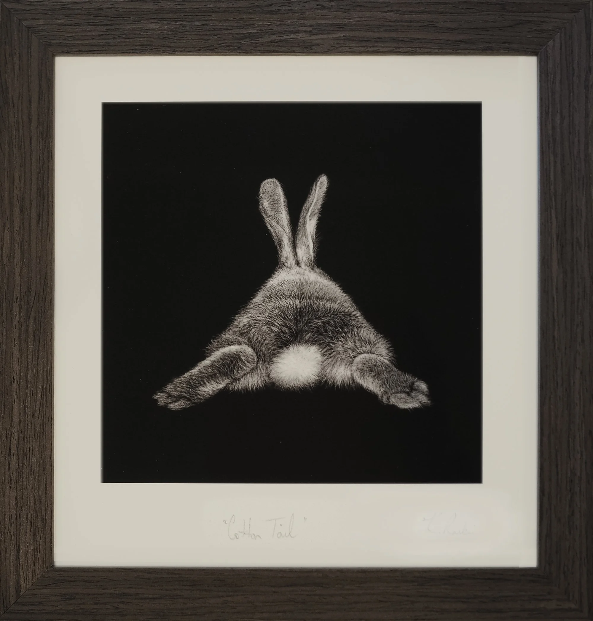 Cotton Tail print - framed.jpg