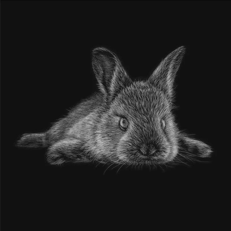 bunny-art-scratchboard.jpg
