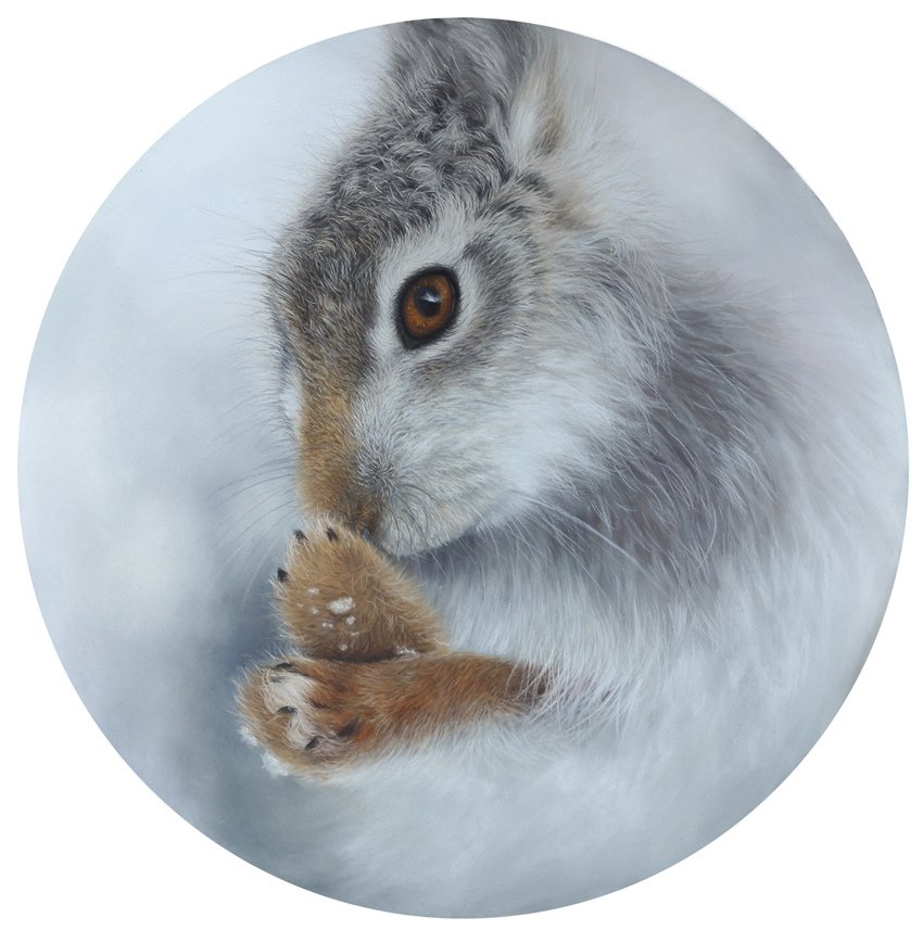 mountain-hare-painting.jpg
